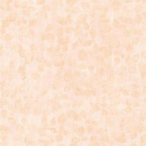 2532-20484 ― Eades Discount Wallpaper & Discount Fabric