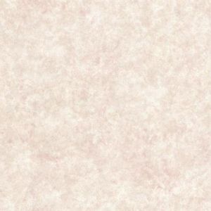 2532-45838 ― Eades Discount Wallpaper & Discount Fabric