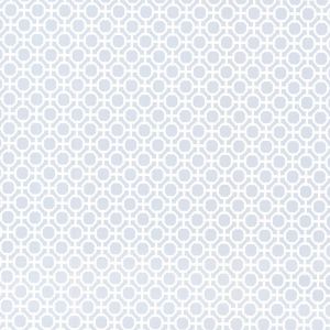 253220421 ― Eades Discount Wallpaper & Discount Fabric