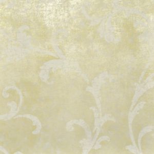 255880 ― Eades Discount Wallpaper & Discount Fabric