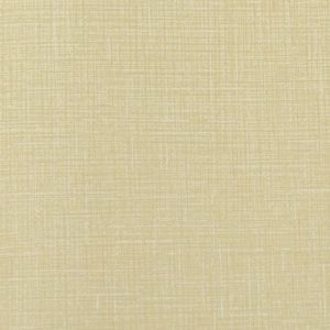 256016 ― Eades Discount Wallpaper & Discount Fabric