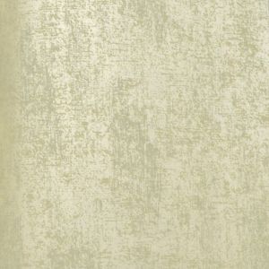 256269 ― Eades Discount Wallpaper & Discount Fabric
