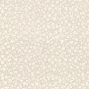 260120844 ― Eades Discount Wallpaper & Discount Fabric