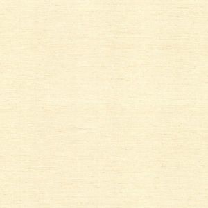 260120864 ― Eades Discount Wallpaper & Discount Fabric