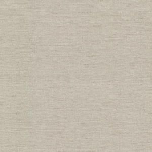 260120865 ― Eades Discount Wallpaper & Discount Fabric