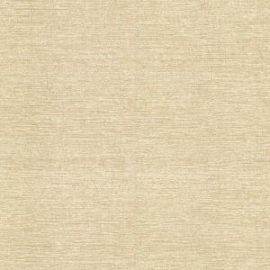260120878 ― Eades Discount Wallpaper & Discount Fabric