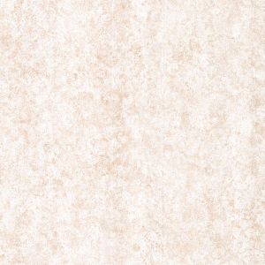 2623001216 ― Eades Discount Wallpaper & Discount Fabric
