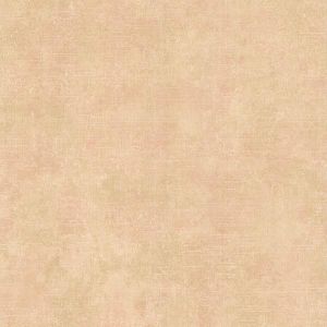 2623001362 ― Eades Discount Wallpaper & Discount Fabric