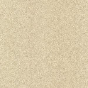 2665-21419 ― Eades Discount Wallpaper & Discount Fabric