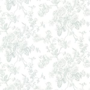 2668-21500 ― Eades Discount Wallpaper & Discount Fabric