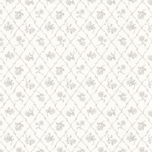 2668-21507 ― Eades Discount Wallpaper & Discount Fabric