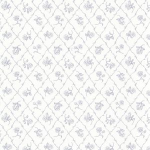 2668-21508 ― Eades Discount Wallpaper & Discount Fabric
