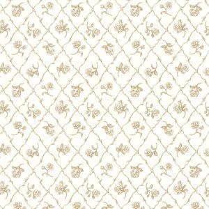 2668-21509 ― Eades Discount Wallpaper & Discount Fabric