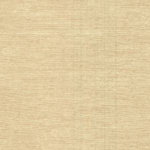 2758-65902 ― Eades Discount Wallpaper & Discount Fabric