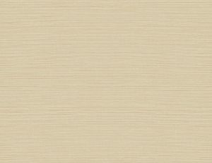 2765-BW41007 ― Eades Discount Wallpaper & Discount Fabric