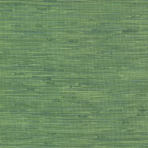 2766-24419 ― Eades Discount Wallpaper & Discount Fabric
