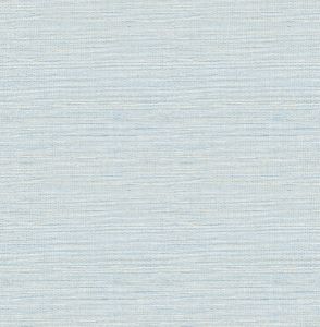 2793-24283 ― Eades Discount Wallpaper & Discount Fabric
