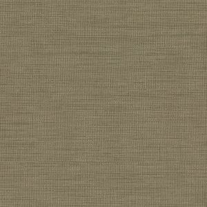 2807-6069 ― Eades Discount Wallpaper & Discount Fabric