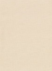 2910-2716 ― Eades Discount Wallpaper & Discount Fabric