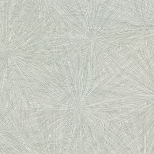 2945-1123 ― Eades Discount Wallpaper & Discount Fabric