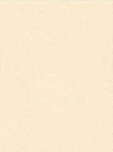 2945-4002 ― Eades Discount Wallpaper & Discount Fabric