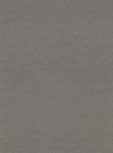 2945-4009 ― Eades Discount Wallpaper & Discount Fabric