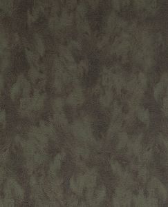 300584 ― Eades Discount Wallpaper & Discount Fabric