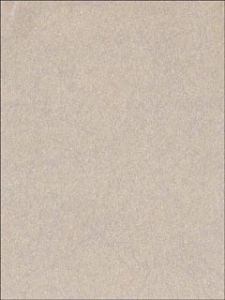 301281 ― Eades Discount Wallpaper & Discount Fabric