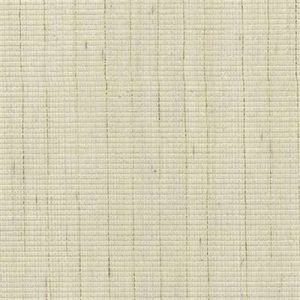 302071 ― Eades Discount Wallpaper & Discount Fabric