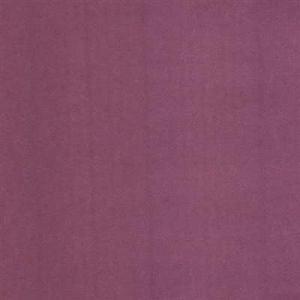 310832 ― Eades Discount Wallpaper & Discount Fabric
