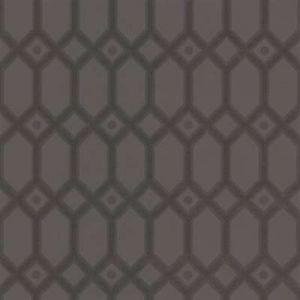 310893 ― Eades Discount Wallpaper & Discount Fabric