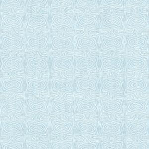 3113-12055 ― Eades Discount Wallpaper & Discount Fabric