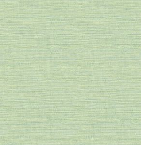 3124-24284 ― Eades Discount Wallpaper & Discount Fabric