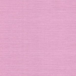 341569 ― Eades Discount Wallpaper & Discount Fabric