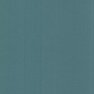 341570 ― Eades Discount Wallpaper & Discount Fabric