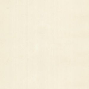 341578 ― Eades Discount Wallpaper & Discount Fabric