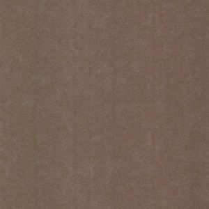 341798 ― Eades Discount Wallpaper & Discount Fabric