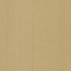 341801 ― Eades Discount Wallpaper & Discount Fabric