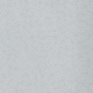 352065 ― Eades Discount Wallpaper & Discount Fabric