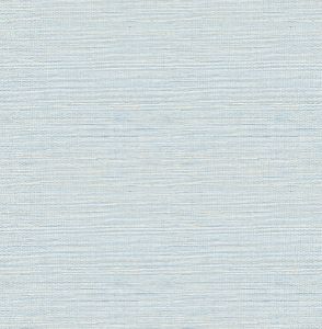 4046-24283 ― Eades Discount Wallpaper & Discount Fabric