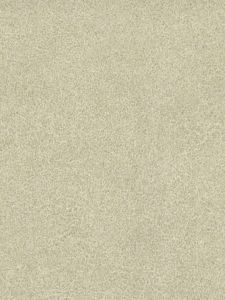 41256941 ― Eades Discount Wallpaper & Discount Fabric