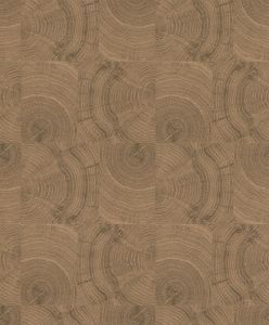 438819 ― Eades Discount Wallpaper & Discount Fabric