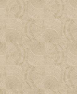 438833 ― Eades Discount Wallpaper & Discount Fabric