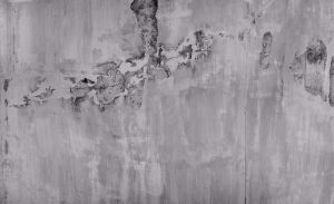 439915 Wall Panels ― Eades Discount Wallpaper & Discount Fabric