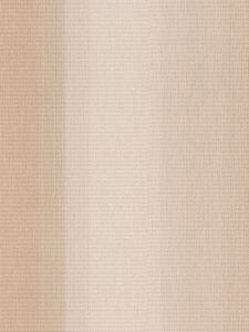 453713 ― Eades Discount Wallpaper & Discount Fabric