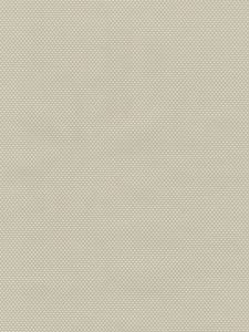 45580 ― Eades Discount Wallpaper & Discount Fabric