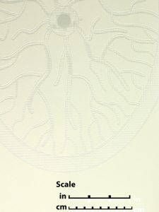 46990 ― Eades Discount Wallpaper & Discount Fabric