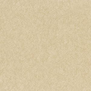 471220 ― Eades Discount Wallpaper & Discount Fabric