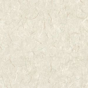 471231 ― Eades Discount Wallpaper & Discount Fabric