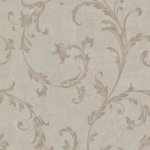 495-69064 ― Eades Discount Wallpaper & Discount Fabric